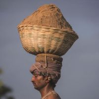 全球沙荒：20年貿易額增長六倍 中國占亞洲一半，一場全球資源危機！正在愈演愈烈！