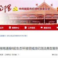 超時、超量、越界采砂!湖南通報6起生態環境領域違紀違法典型案例 2起與砂石有關!